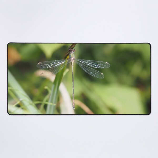 Item preview, Damselfly green blue and rust-coloured designed and sold by Syr'photographies.