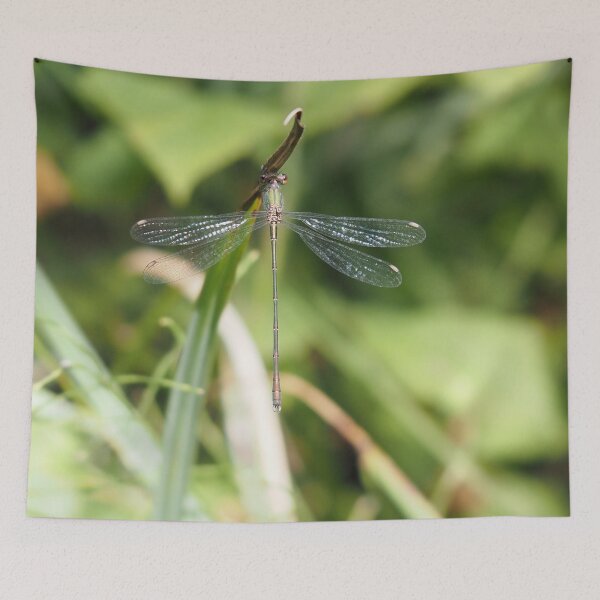 Item preview, Damselfly green blue and rust-coloured designed and sold by Syr'photographies.