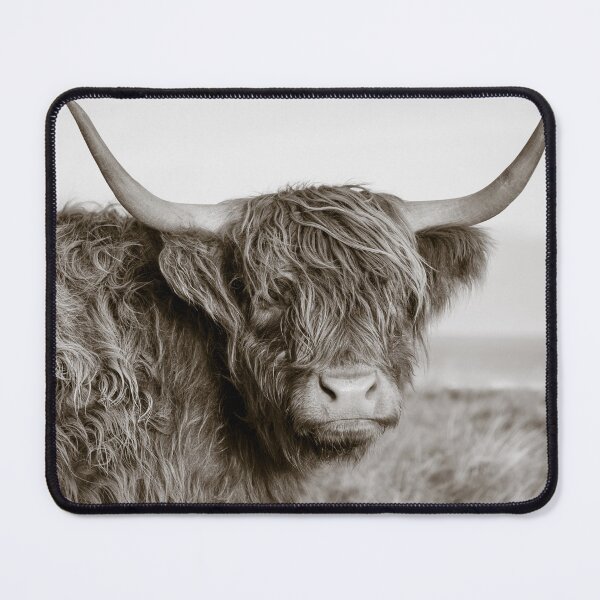 Artikelvorschau, Highland Coo entworfen und verkauft von David Bowman.