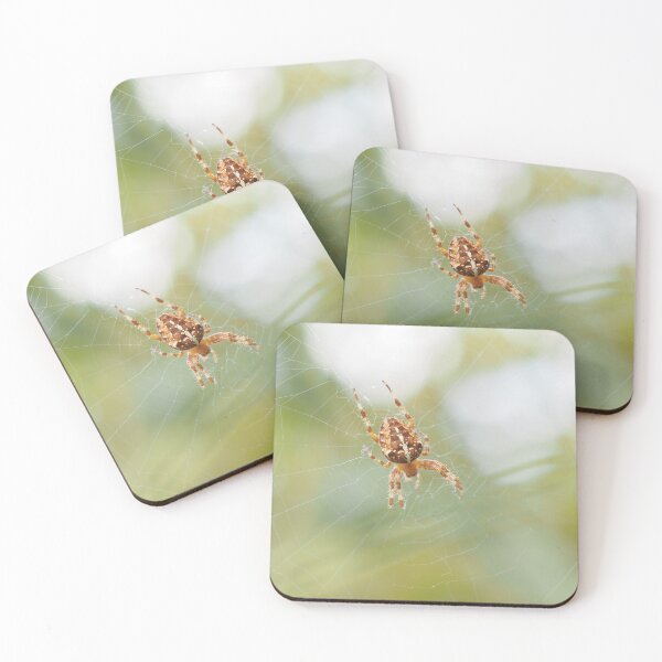 Item preview, Spider on its web designed and sold by Syr'photographies.