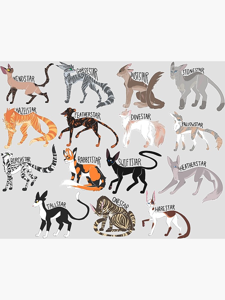 Every Windclan Leader Ever Poster By Draikinator Redbubble 1266