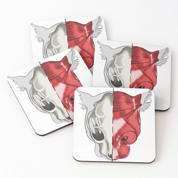 Item preview, Anatomy Cat designed and sold by Menfia.