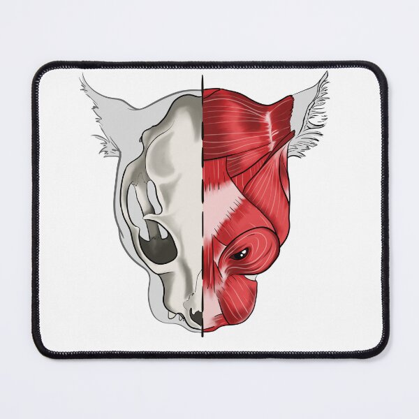 Item preview, Anatomy Cat designed and sold by Menfia.