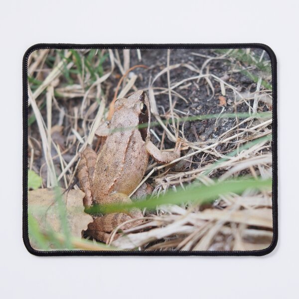 Item preview, Brown frog with black blindfold designed and sold by Syr'photographies.