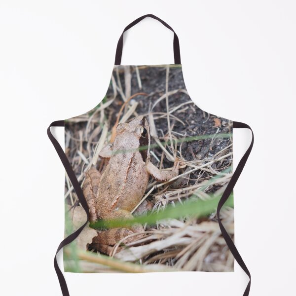 Item preview, Brown frog with black blindfold designed and sold by Syr'photographies.