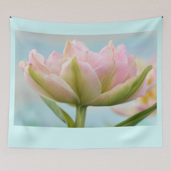 Item preview, Tulipa  'Peach Blossom'  Tulip  Double Early Group   designed and sold by Chris Burrows.