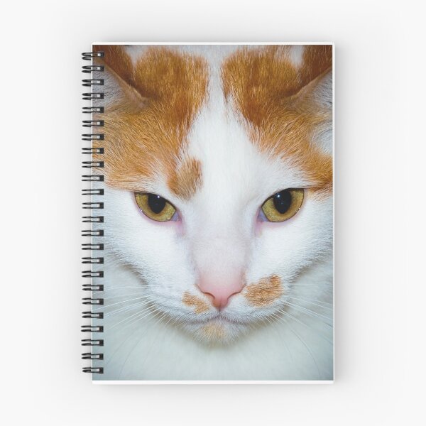 Item preview, Lincoln The Cat designed and sold by xPressiveImages.