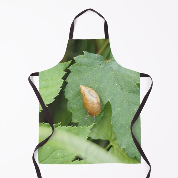 Artikelvorschau, Schnecke auf einem Blatt entworfen und verkauft von Syr'photographies.