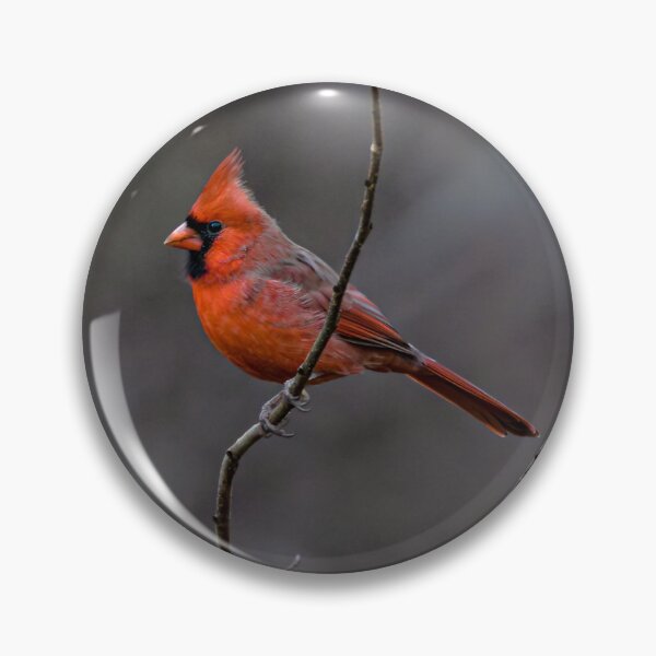 Item preview, joven cardenal 2 designed and sold by RickShag.