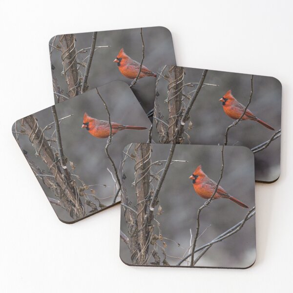 Item preview, Young Cardinal 2 designed and sold by RickShag.