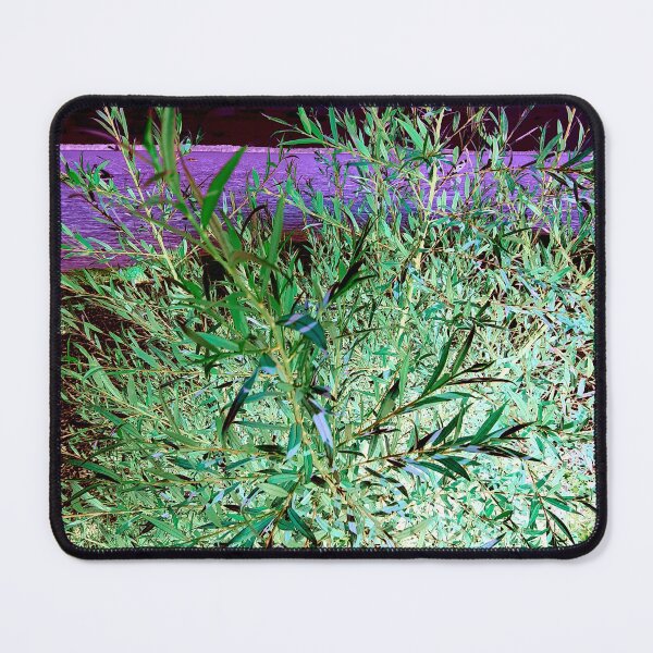 Item preview, illuminated shrub in front of purple lake designed and sold by Gabriel BOCQUAIRE.