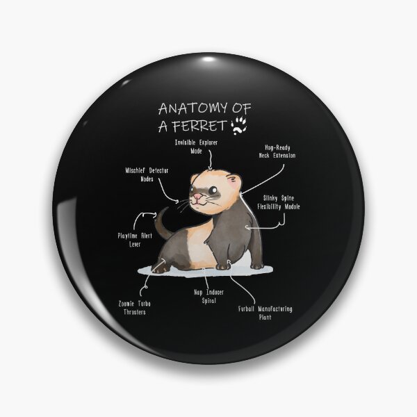 Item preview, Anatomy of a Ferret designed and sold by Petensity.