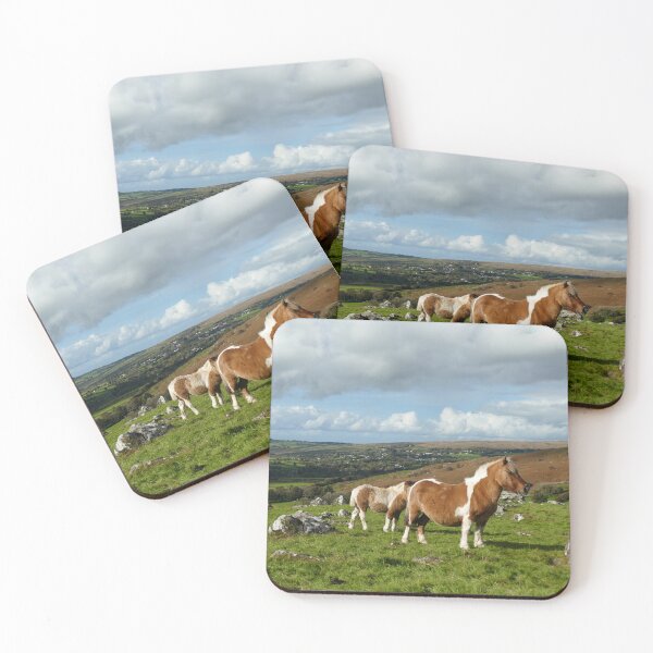 Item preview, Dartmoor designed and sold by Chris Petty.