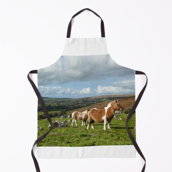 Item preview, Dartmoor designed and sold by Chris Petty.