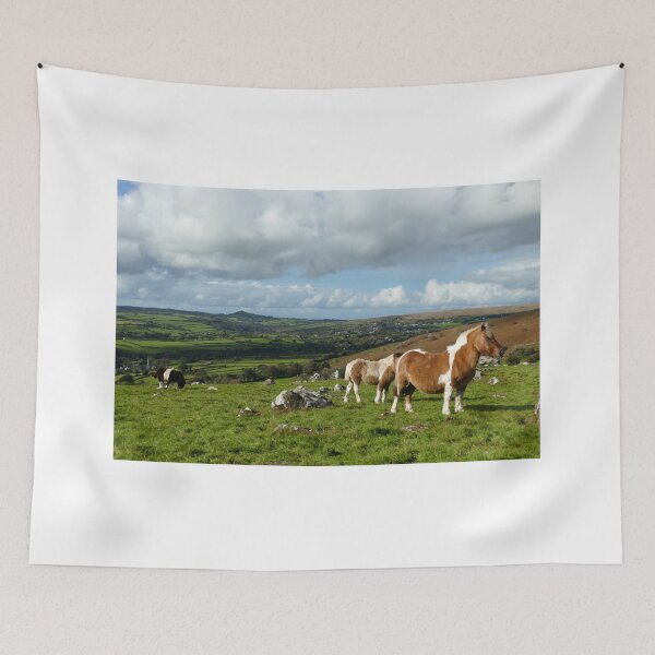 Item preview, Dartmoor designed and sold by Chris Petty.