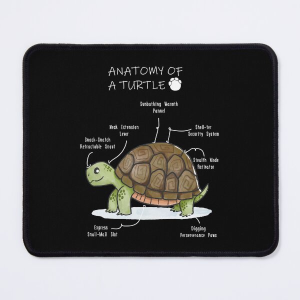 Item preview, Anatomy of a Turtle designed and sold by Petensity.