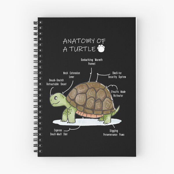 Item preview, Anatomy of a Turtle designed and sold by Petensity.