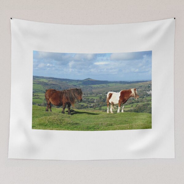 Item preview, Dartmoor Ponies designed and sold by Chris Petty.