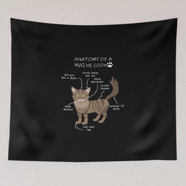 Item preview, Anatomy of a Maine Coon designed and sold by Petensity.