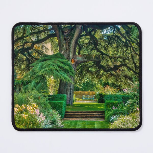 Item preview, The Cedar Tree designed and sold by Viv Thompson Photography .