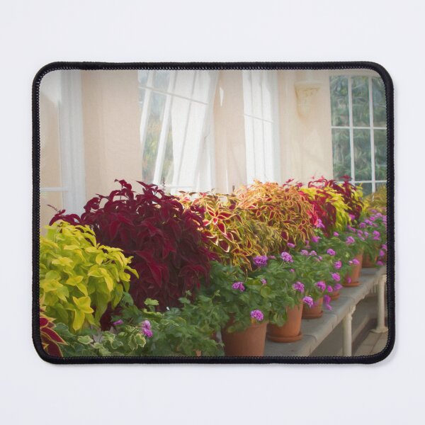 Item preview, The Garden Room designed and sold by Viv Thompson Photography .