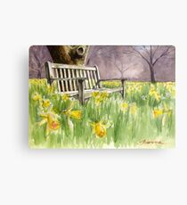 Bench in daffodils Metal Print