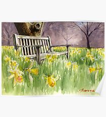 Bench in daffodils Poster
