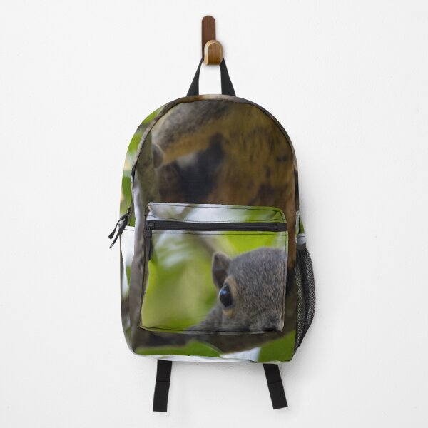 Item preview, Plantain squirrel, Callosciurus notatus designed and sold by Zosimus.