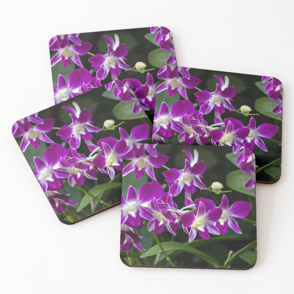 Item preview, Flowers of the orchid species Dendrobium sonia designed and sold by Zosimus.