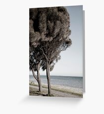 White Cliffs Greeting Card