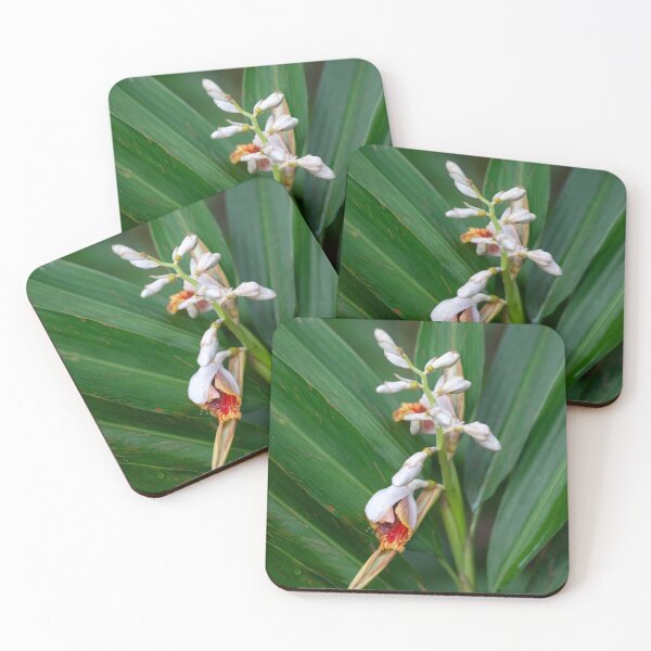 Item preview, Flower of a small shell ginger, Alpinia mutica designed and sold by Zosimus.