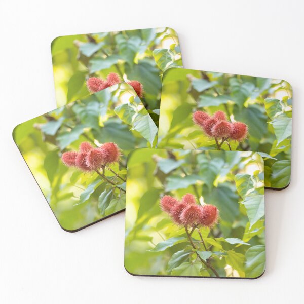 Item preview, Fruits of a lipstick or achiota tree, Bixa orellana designed and sold by Zosimus.