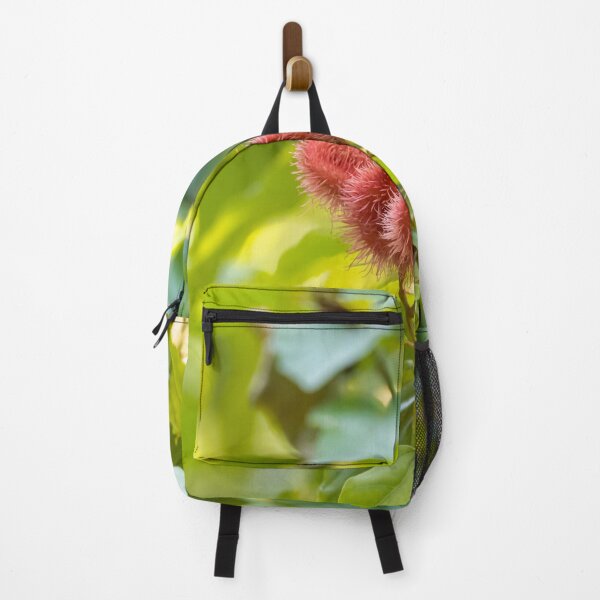 Item preview, Fruits of a lipstick or achiota tree, Bixa orellana designed and sold by Zosimus.