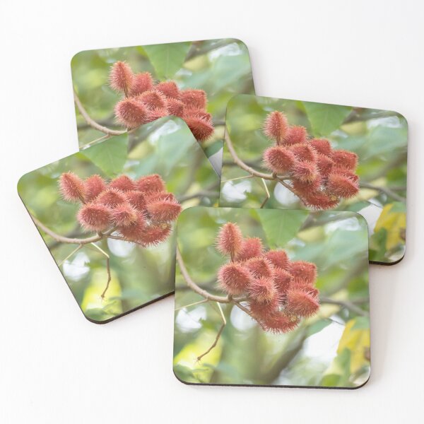 Item preview, Fruits of a lipstick or achiota tree, Bixa orellana designed and sold by Zosimus.