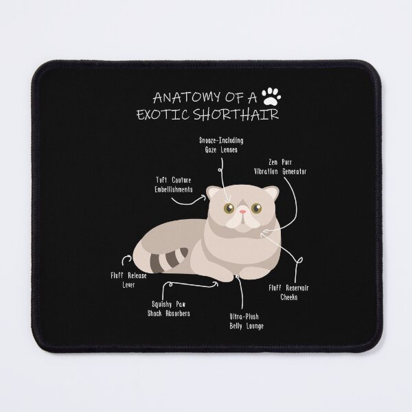 Item preview, Exotic Shorthair Anatomy - Funny Exotic Cat Mom Gift designed and sold by Petensity.