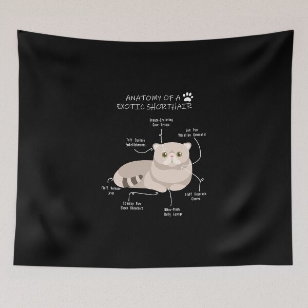 Item preview, Exotic Shorthair Anatomy - Funny Exotic Cat Mom Gift designed and sold by Petensity.