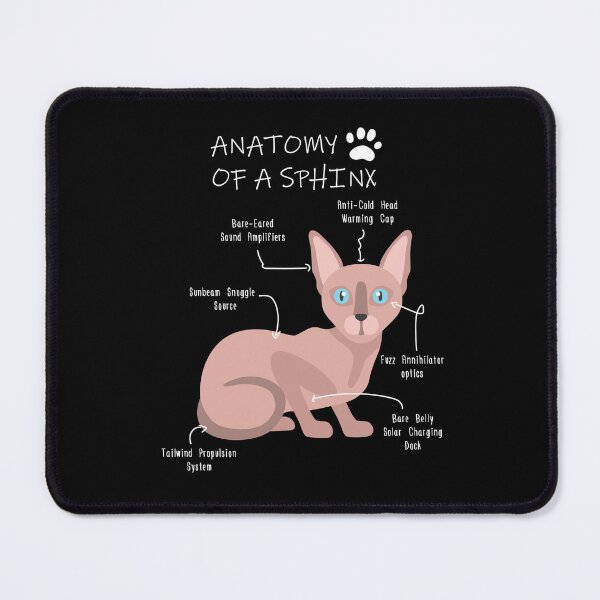 Item preview, Anatomy of a Sphinx designed and sold by Petensity.