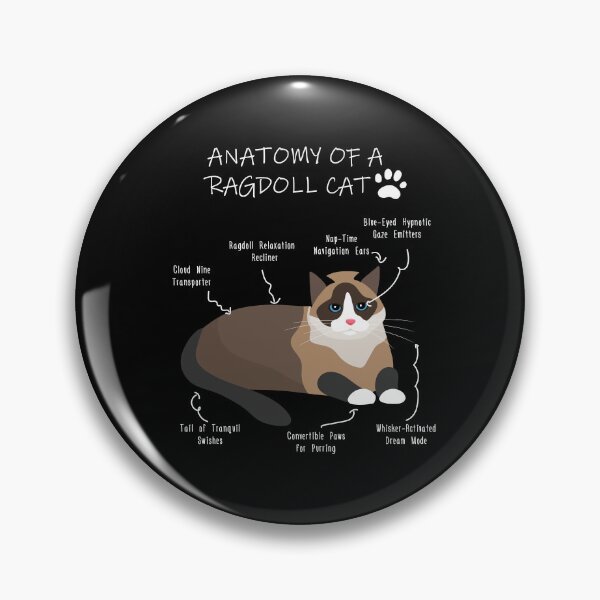 Artikelvorschau, Anatomie einer Ragdoll-Katze entworfen und verkauft von Petensity.