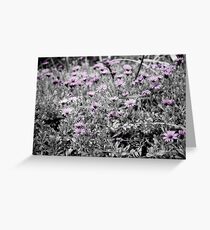 London Bridge road,Portsea Greeting Card