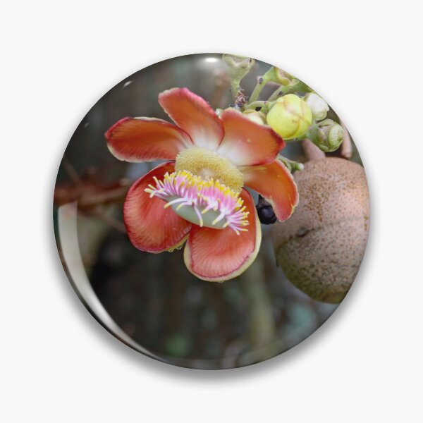 Item preview, Flower of a cannonball tree, Couroupita guianensis designed and sold by Zosimus.