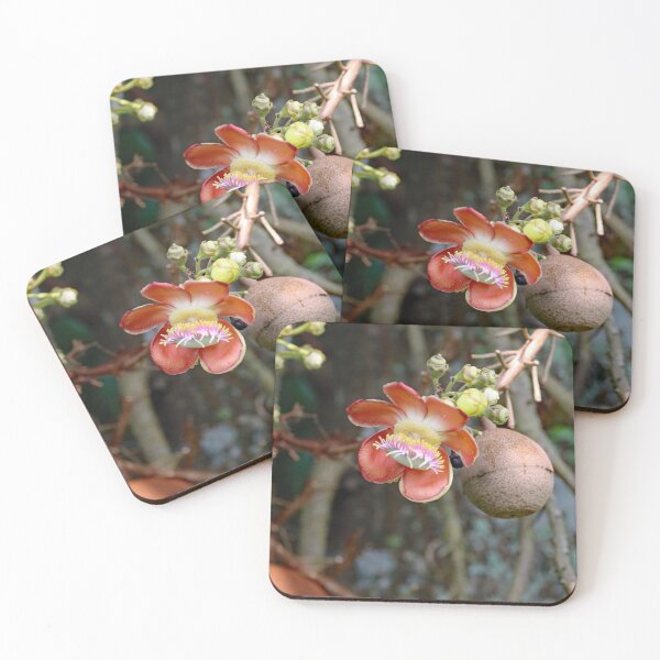 Item preview, Flower of a cannonball tree, Couroupita guianensis designed and sold by Zosimus.