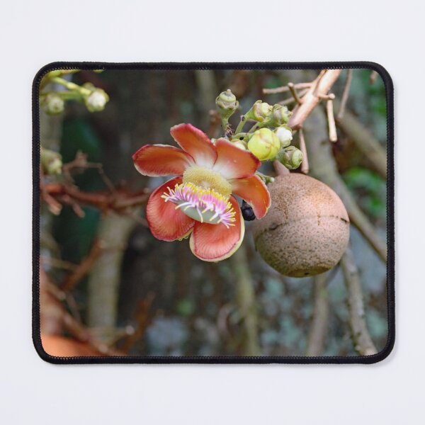 Item preview, Flower of a cannonball tree, Couroupita guianensis designed and sold by Zosimus.