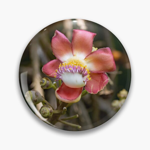 Item preview, Cannonball tree flower, Couroupita guianensis designed and sold by Zosimus.