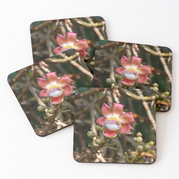 Item preview, Cannonball tree flower, Couroupita guianensis designed and sold by Zosimus.