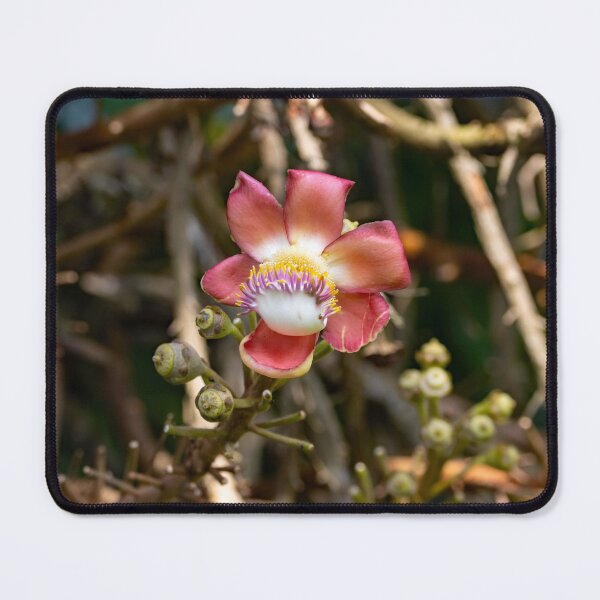 Item preview, Cannonball tree flower, Couroupita guianensis designed and sold by Zosimus.