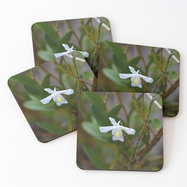 Item preview, Pigeon orchid, Dendrobium crumenatum designed and sold by Zosimus.