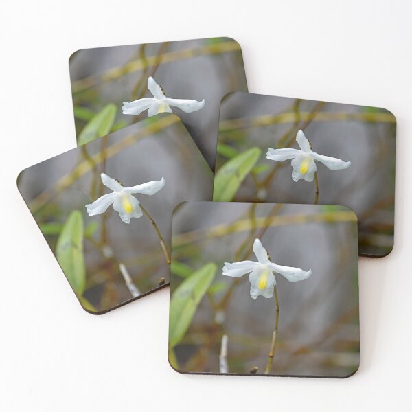 Item preview, Pigeon orchid, Dendrobium crumenatum designed and sold by Zosimus.