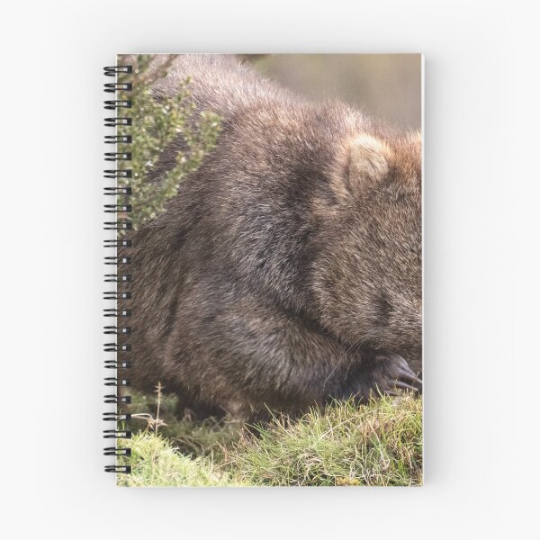 Item preview, Womat Feeding on Buttongrass, Tasmania designed and sold by Images by Chris de Blank.