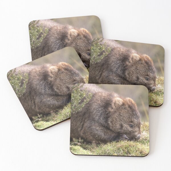 Item preview, Womat Feeding on Buttongrass, Tasmania designed and sold by Images by Chris de Blank.