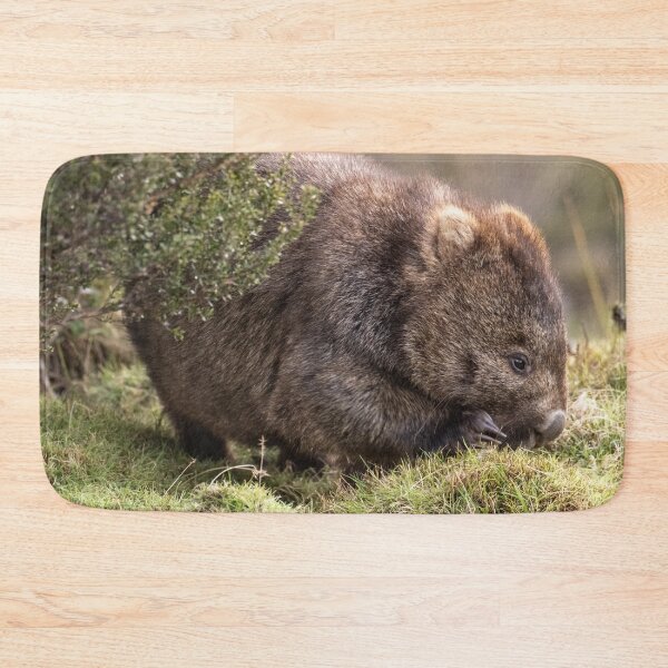 Artikelvorschau, Womat ernährt sich von Buttongrass, Tasmanien entworfen und verkauft von Images by Chris de Blank.